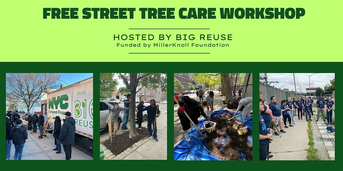 Street Tree Care Workshop II