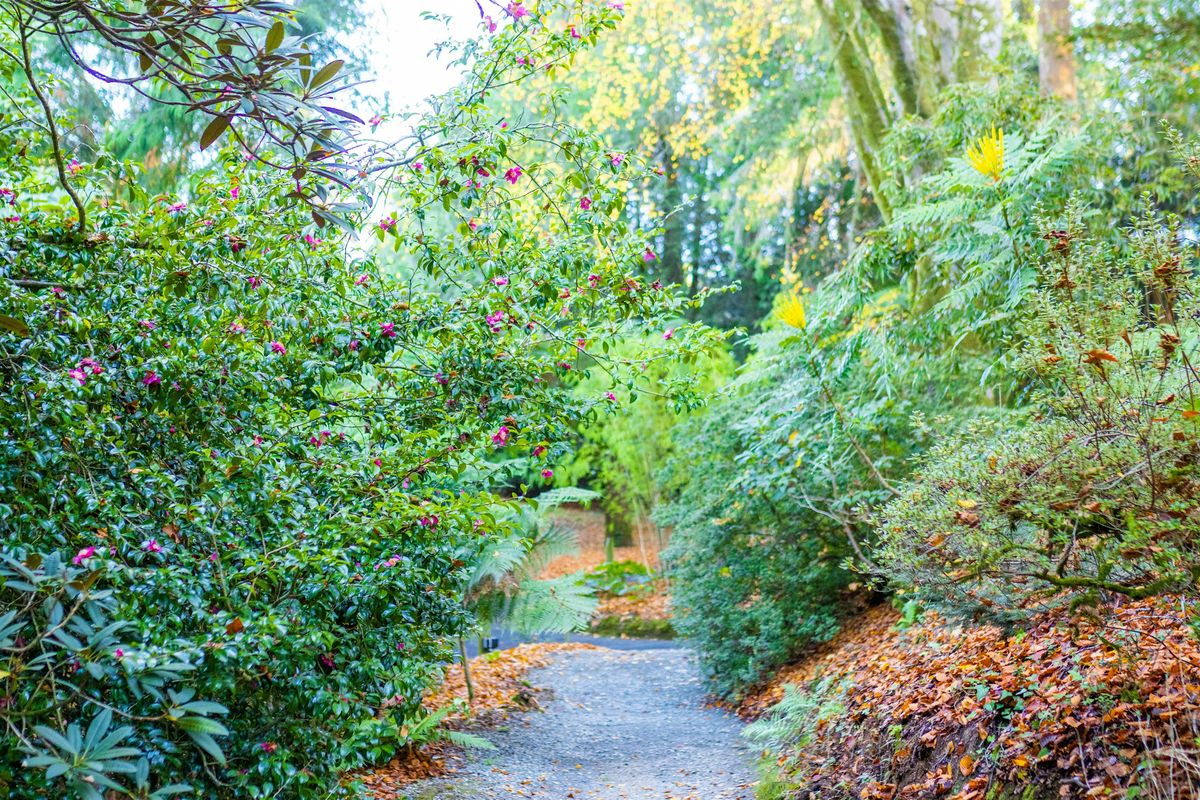 Members Only Winter Garden Tour