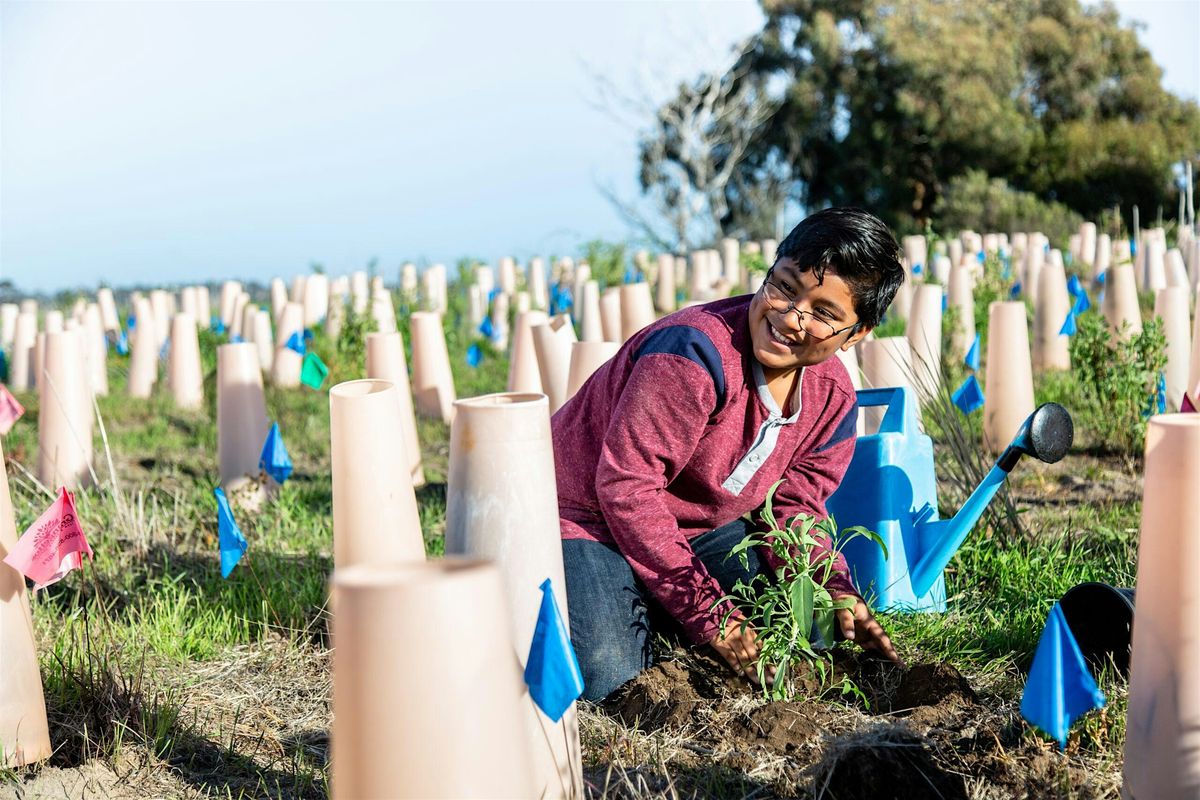 Nature Collective Holds Volunteer Restoration Event