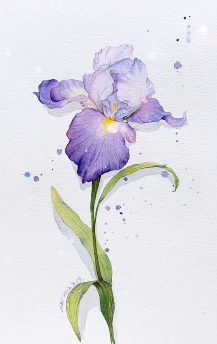 Iris watercolor - 6pm Friday February 28. at 1459 Humboldt Rd. Chico