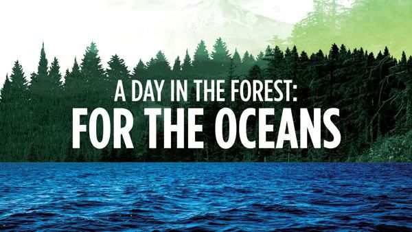 A Day In The Forest: For The Oceans