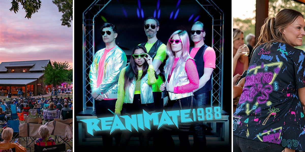 Best of 80's covered by Reanimate1988 \/ Texas Wine \/ Anna, TX