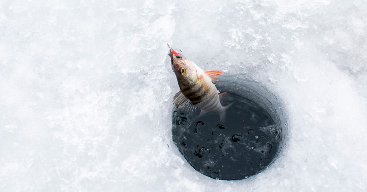 Ice Fishing with Confidence