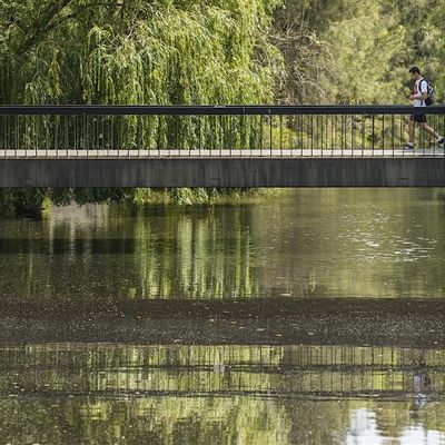 La Trobe School of Humanities and Social Sciences