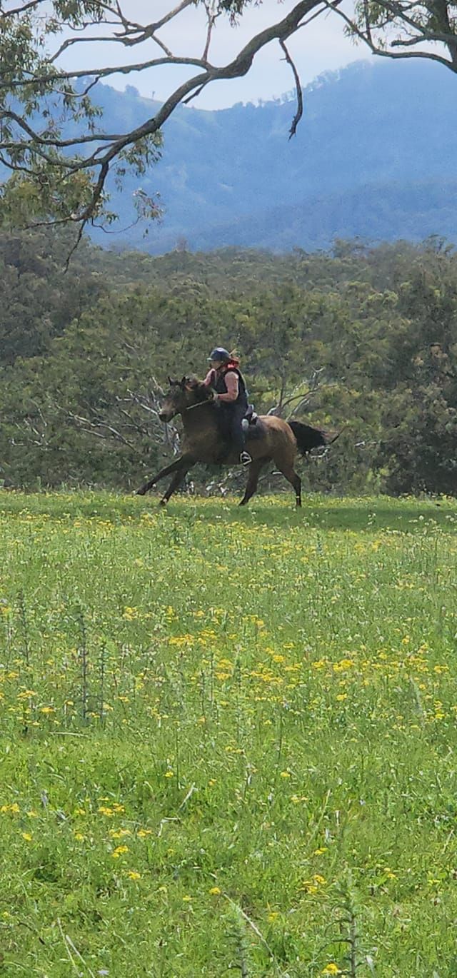 YellowScone Trail Riding 3 day Camp!