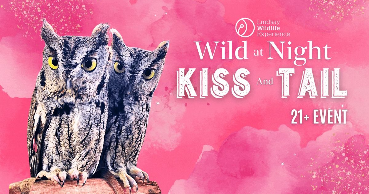 Wild@Night: Kiss & Tail 