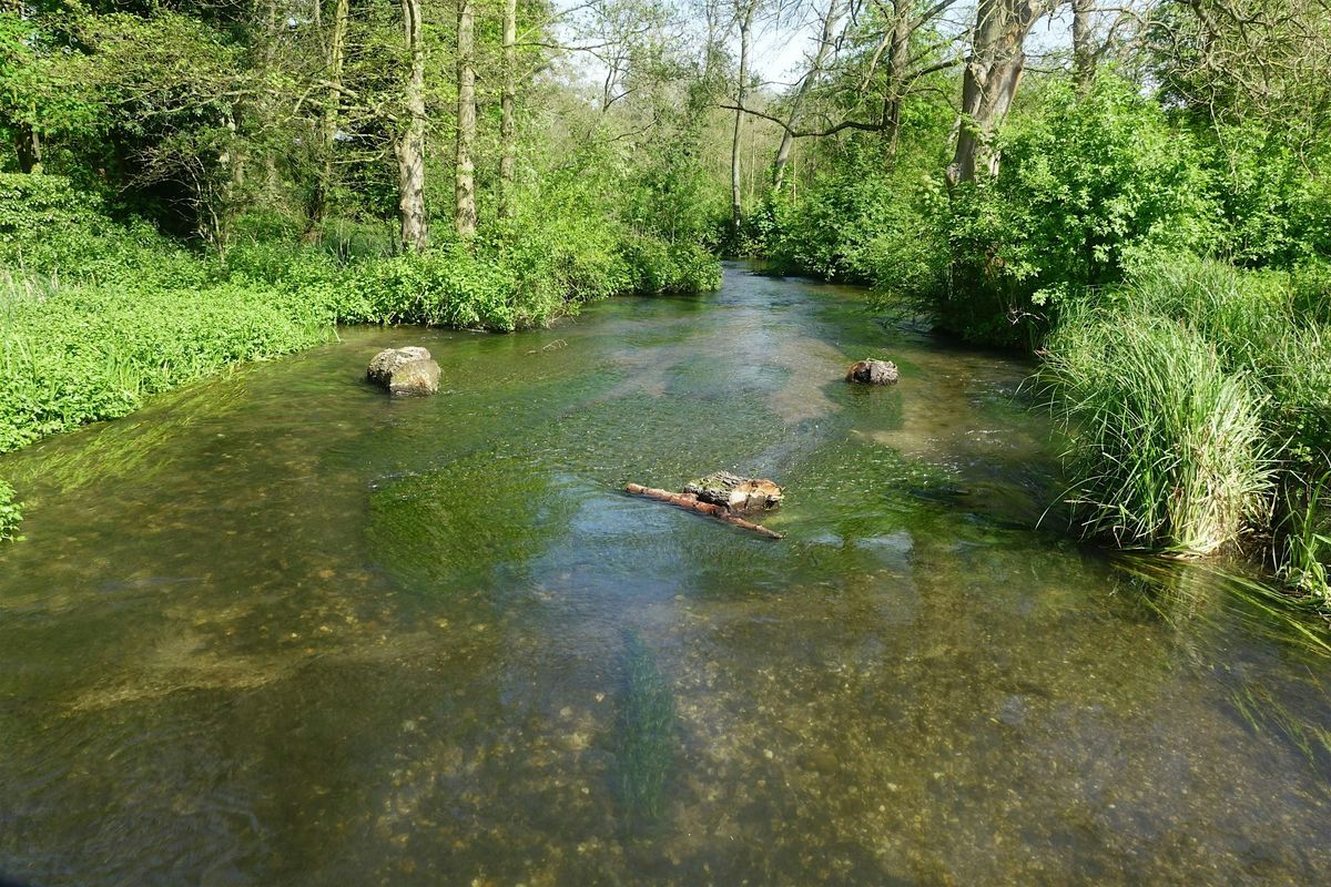 Chalk Streams and Geology Talk