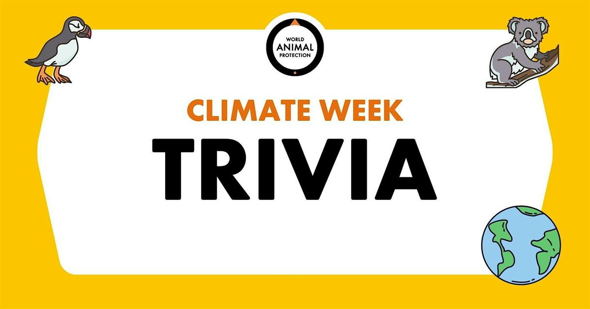 World Animal Protection NYC Climate Week Trivia Night