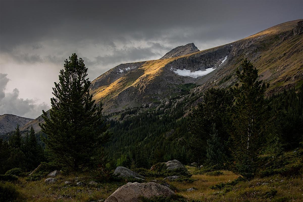 Fall Forest Bathing Walk - 2025