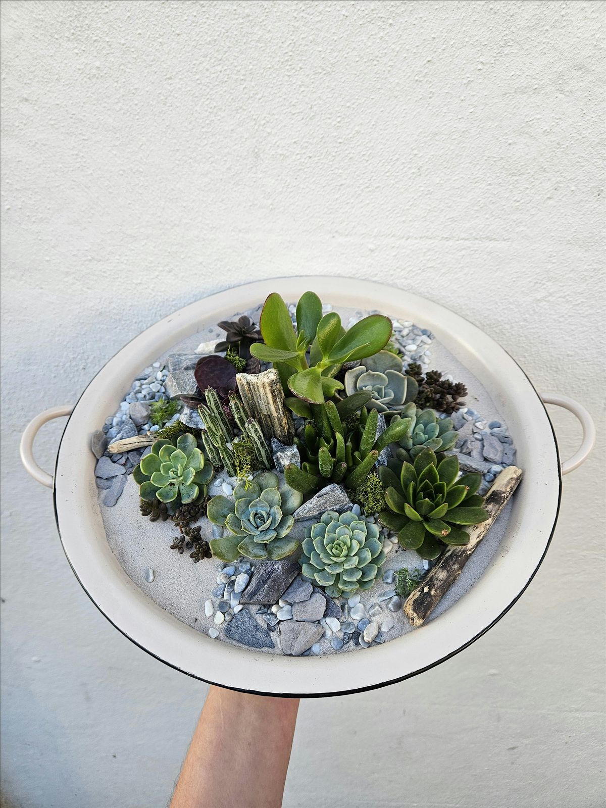 Open succulent terrarium