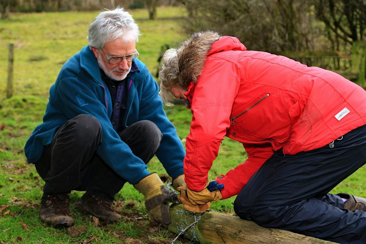 Conservation day at Brown Robin Nature Reserve