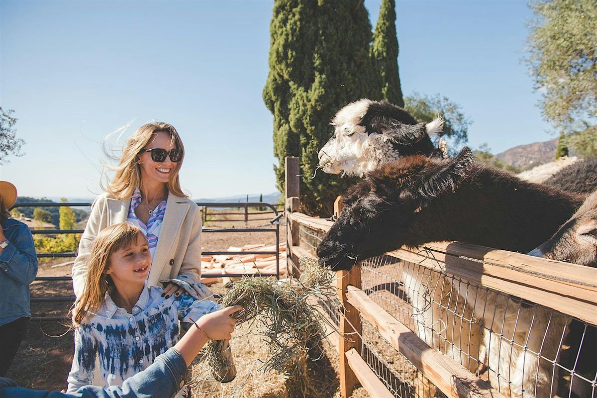 I am Her. She is Me: Fall Retreat at Wanderment Farms