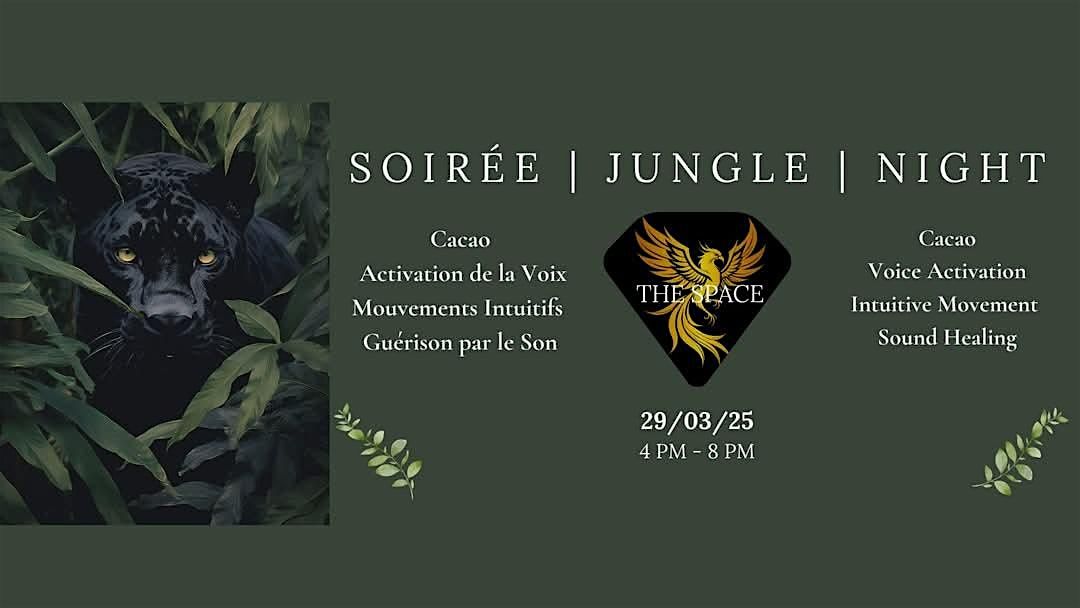 Soir\u00e9e | Jungle | Night