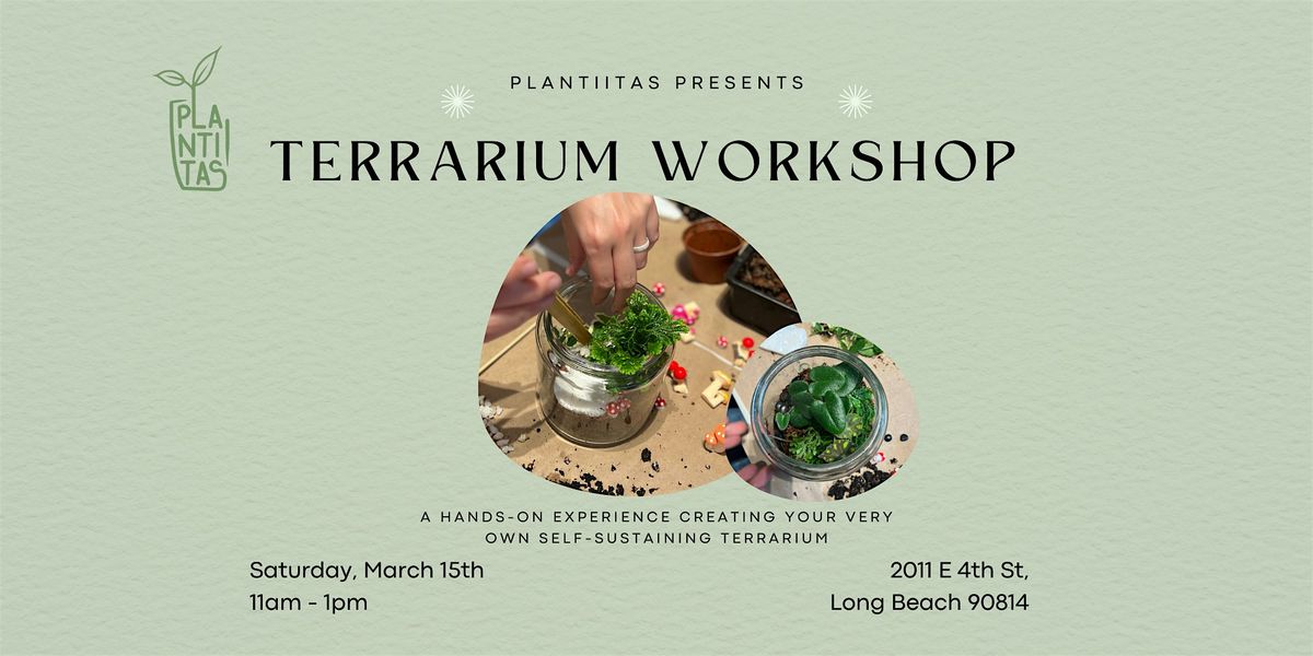 Terrarium Workshop