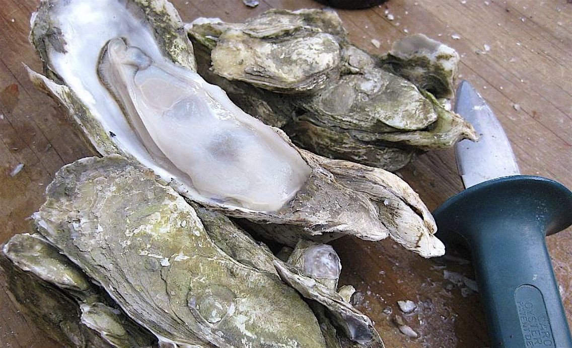 Brine and Brews Oyster Roast at Side Hustle Bluffton Taproom