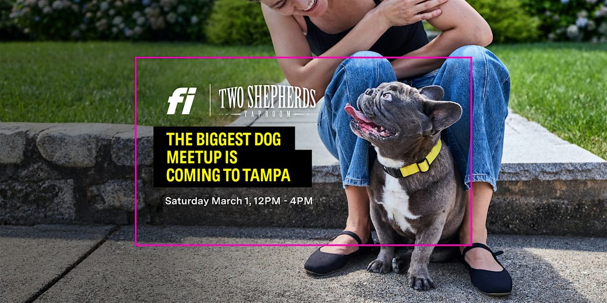 Fi Comes to Tampa - The Biggest Dog Meetup!