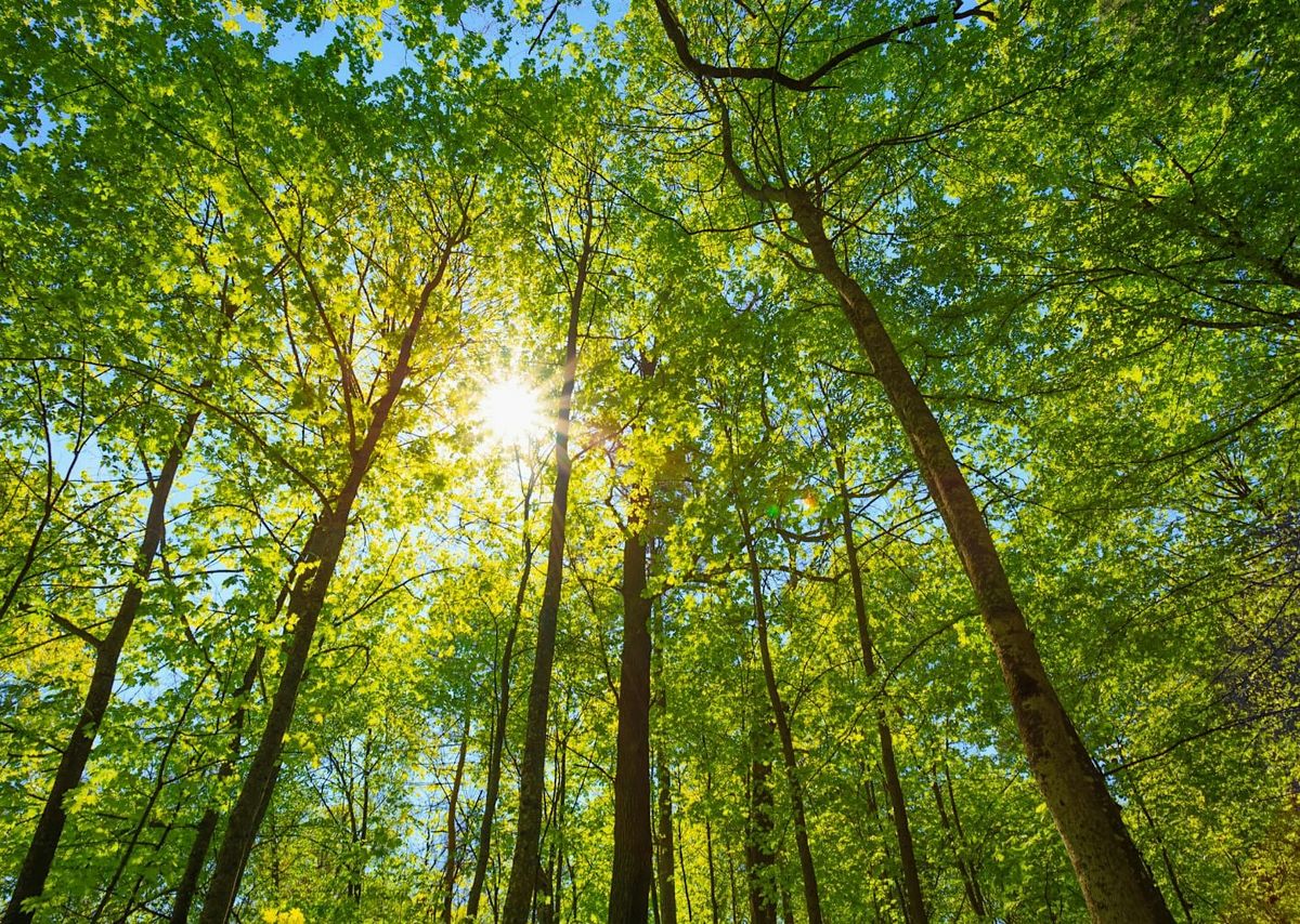 Spring Equinox Nature Celebration