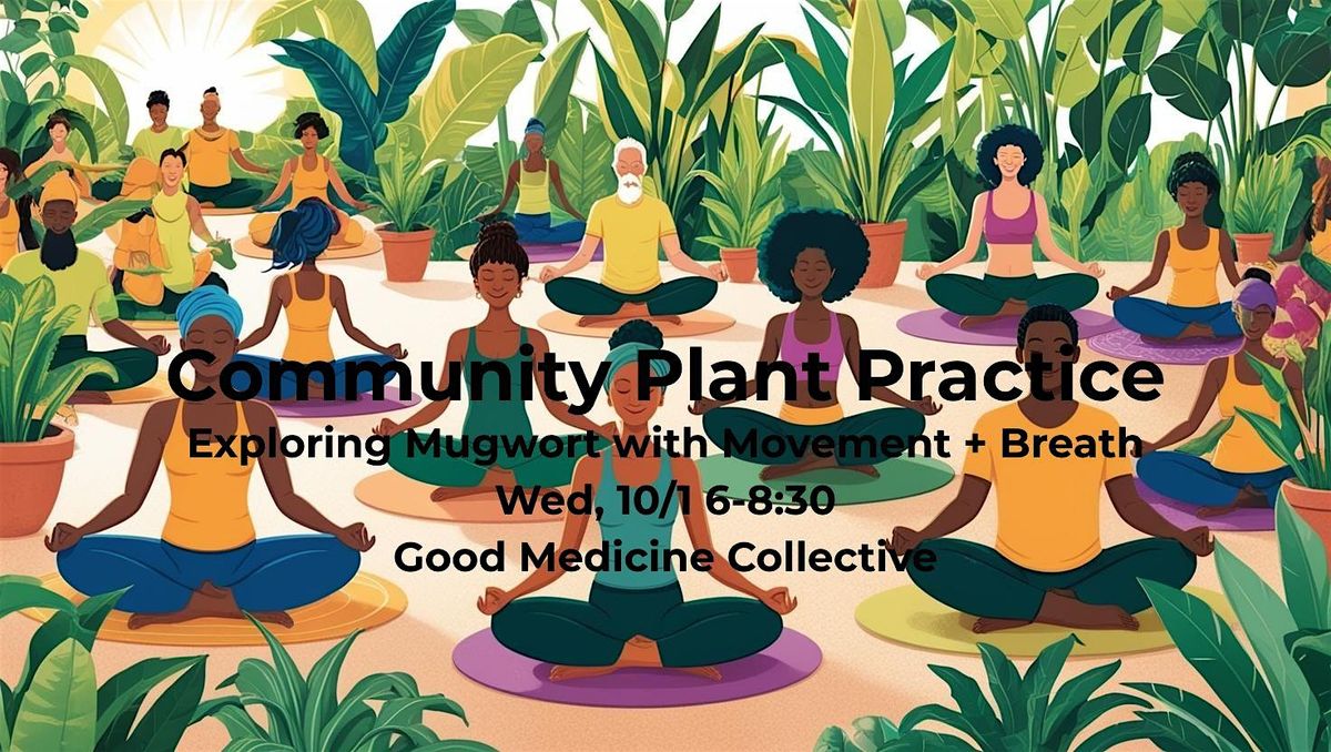Community Plant Practice: Autumn