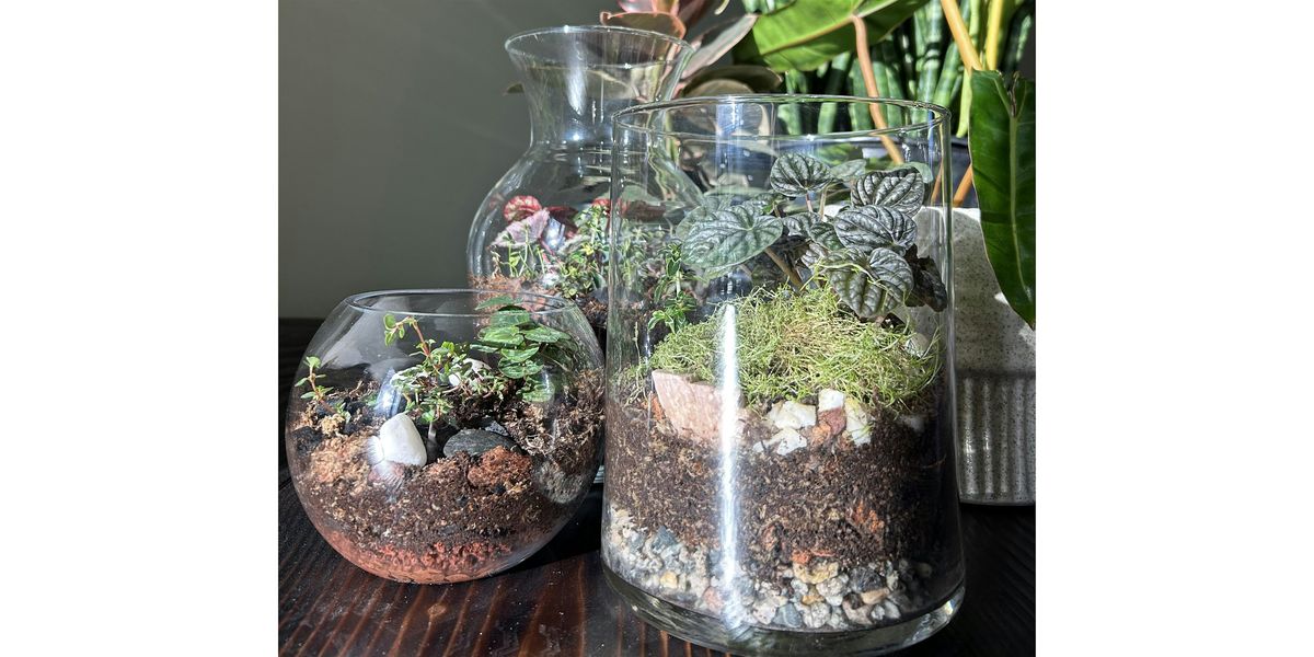 Terrarium Building Workshop at Moss Houseplants March 8th