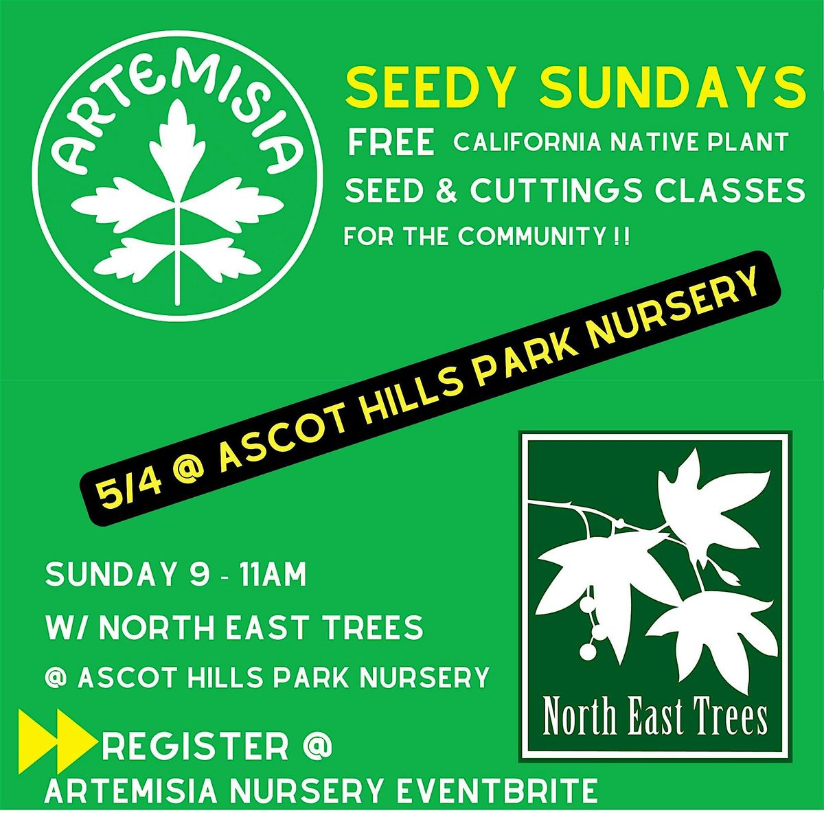 Native Plant & Seed Propogation Classes - FREE @ Ascot Hills Park