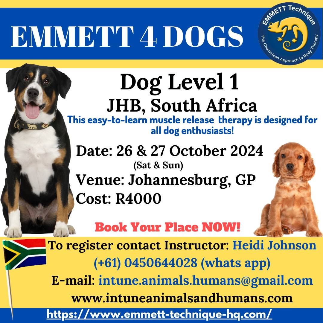 EMMETT 4 Dogs - Level 1 - JHB, GP, South Africa - 26 & 27 October 2024