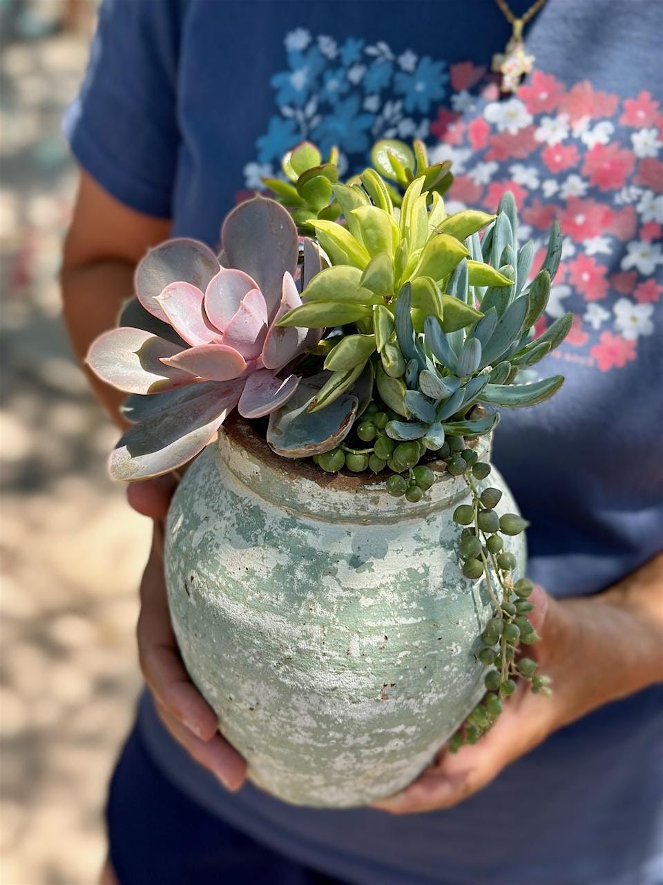 DIY: Succulent Planting