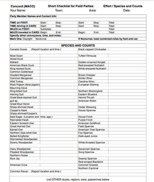 St marys stadium christmas party 2025