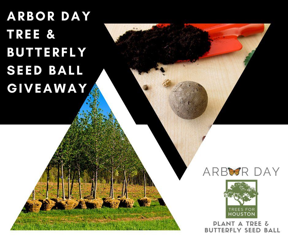 Annual Spring Tree & Butterfly Seed Ball Giveaway 