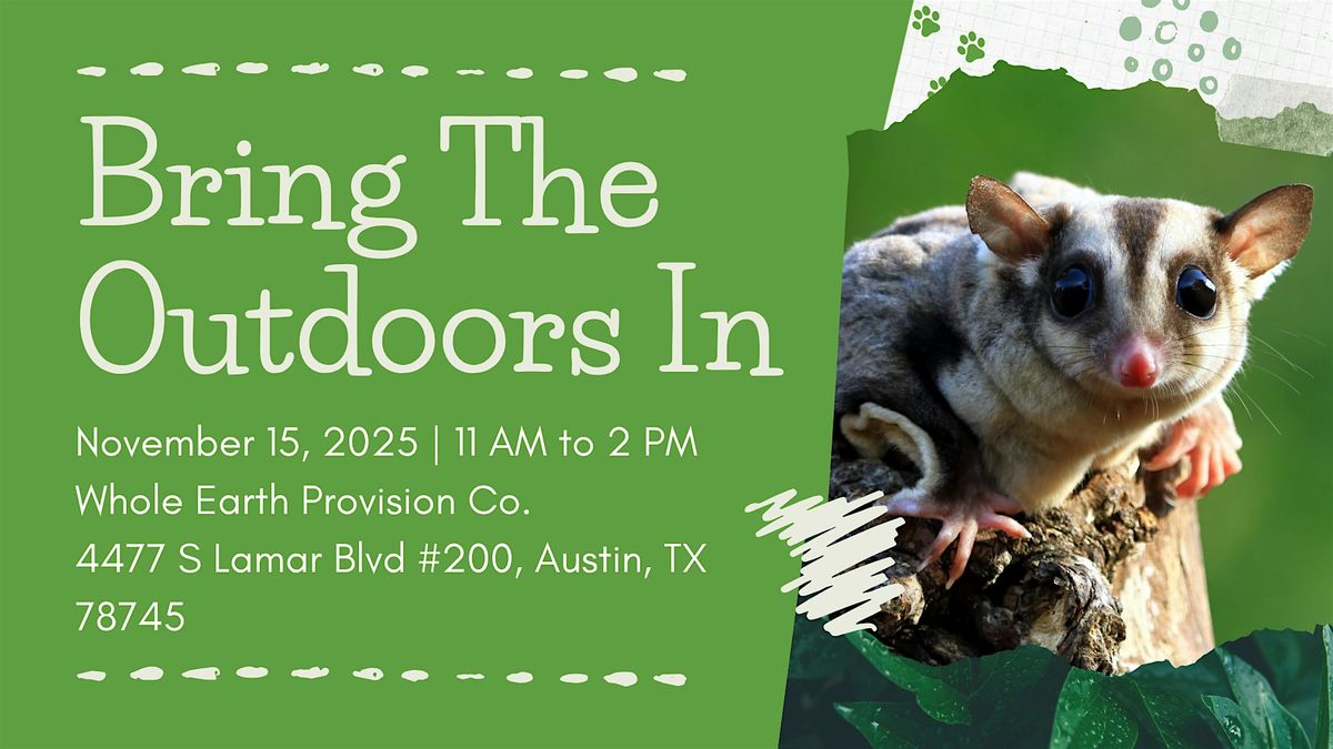 Bring The Outdoors In + Sip & See