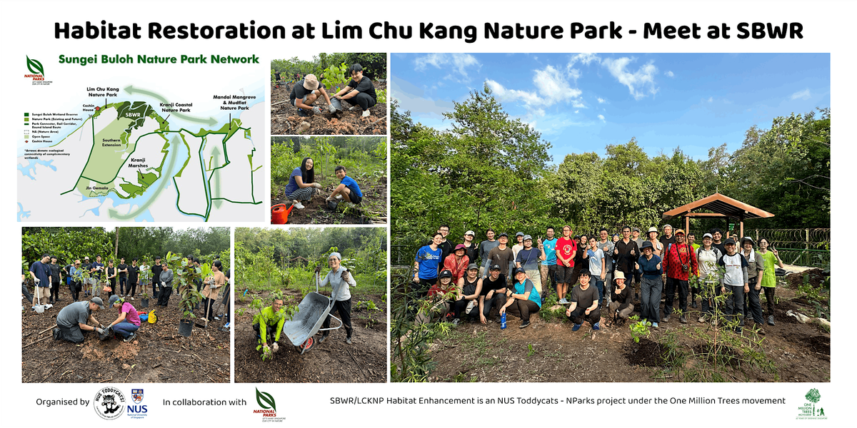 Habitat Restoration (SPA) at LCK Nature Park - Meet at SBWR (Nov 2025)