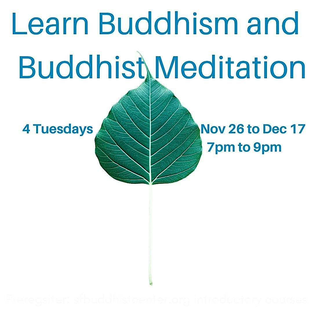 Learn about Buddhism and Buddhist Meditation