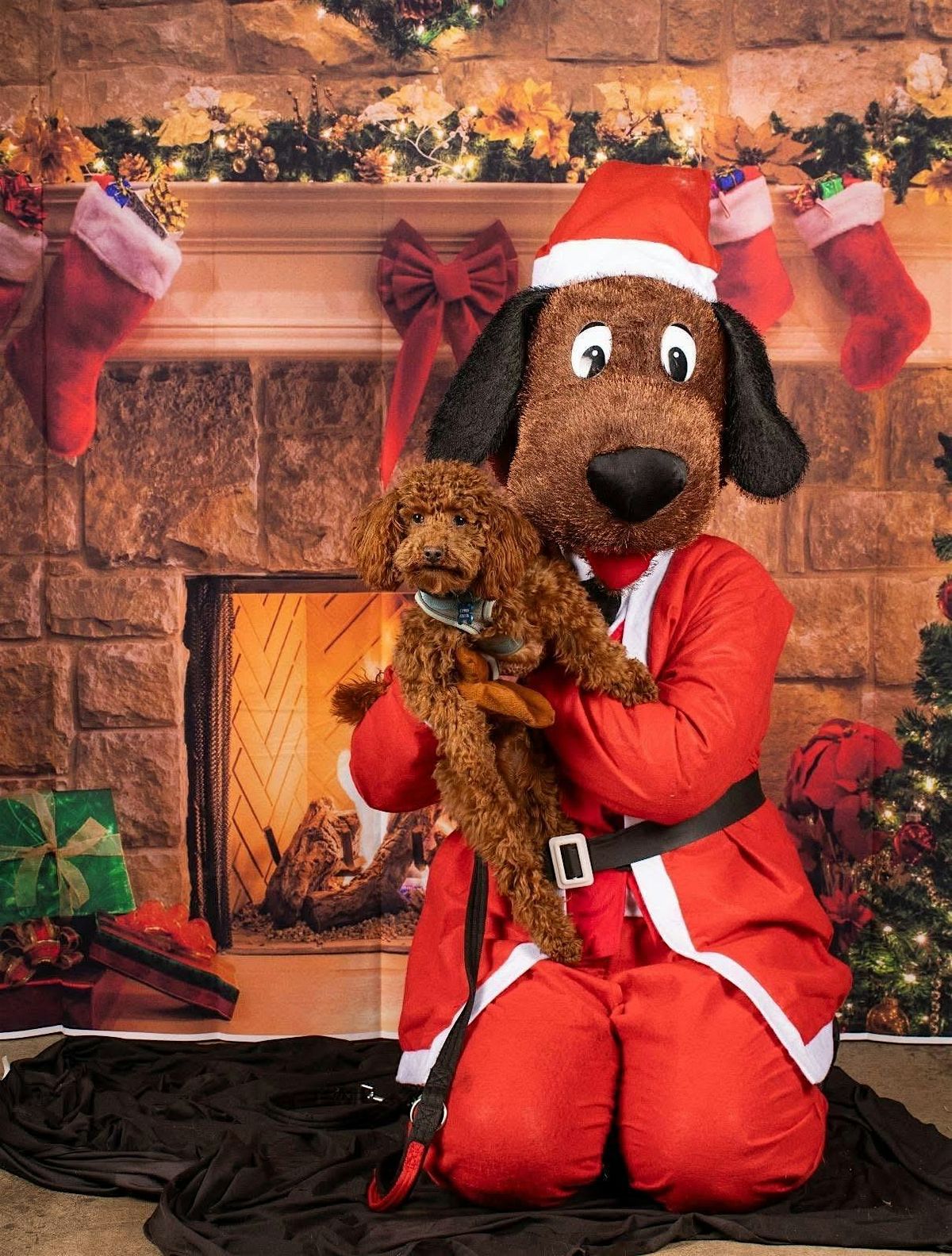 Meet and Greet with Santa Paws!