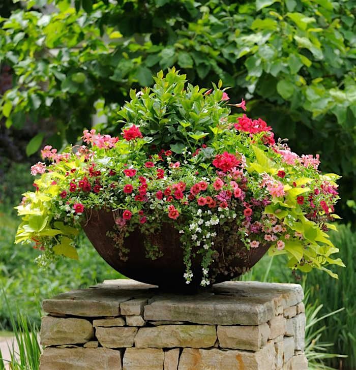 Container Gardening