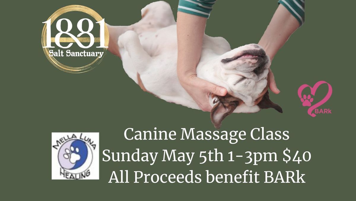Canine Massage Class