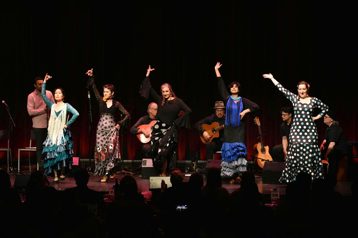 Flamenco Concert