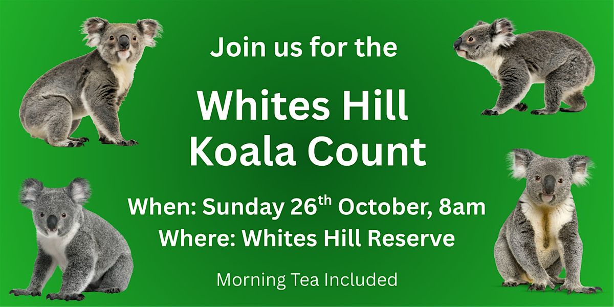 Koala Count \u2013Sunday 26th October, Whites Hill Reserve