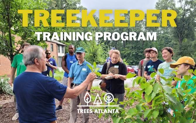 TreeKeeper Training 2024