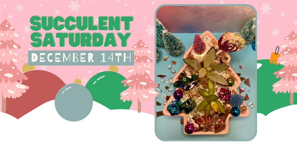 Succulent Saturday Christmas Theme!