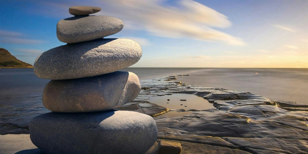 Meditation and Mindfulness in the Museum Series