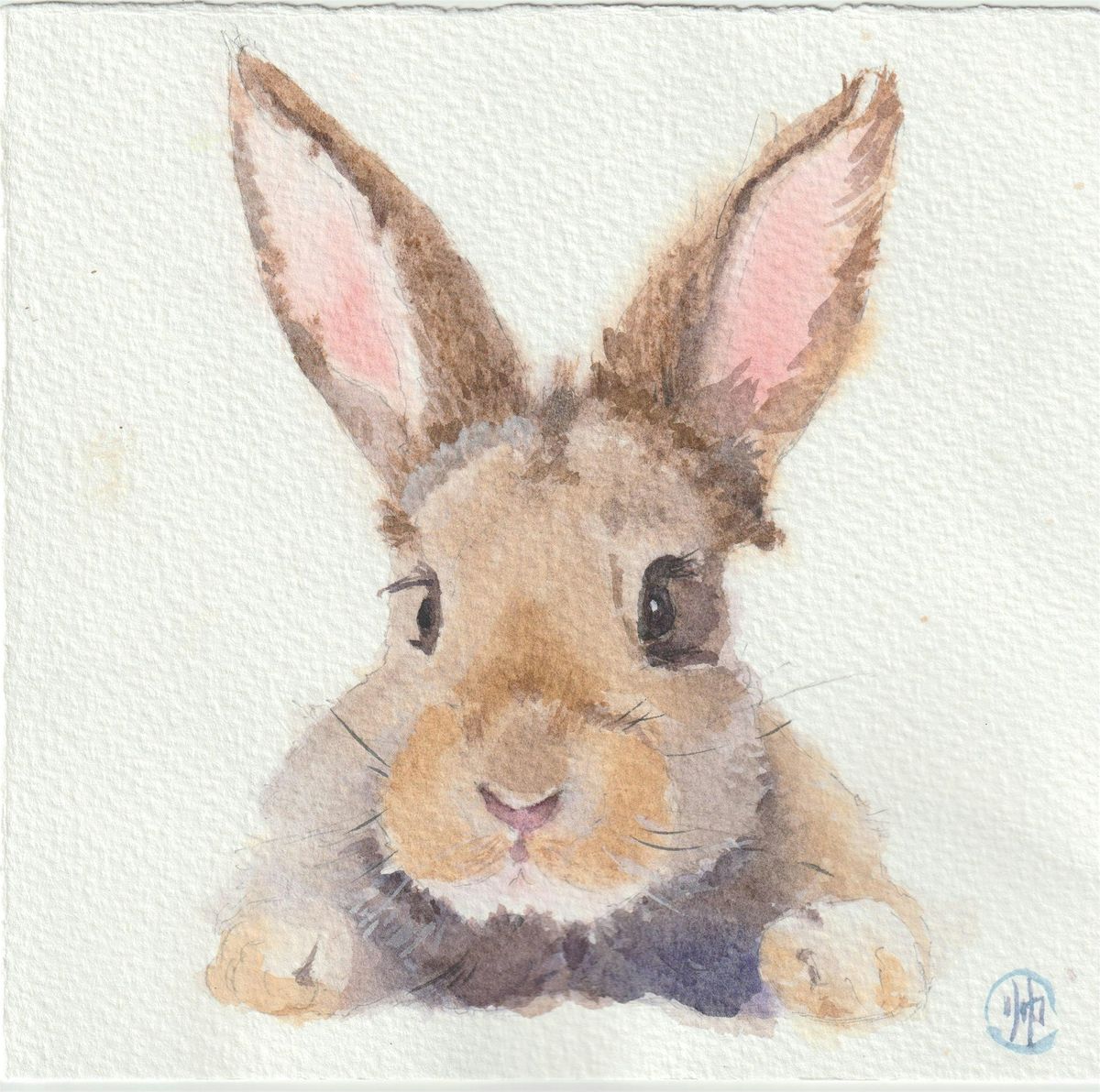 Watercolor Animal Painting Class - 8 Week  Beginner Course | Paint Your Pet