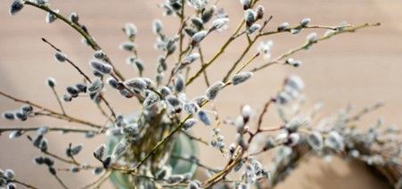 Spring Equinox Foraged Wreath Workshop