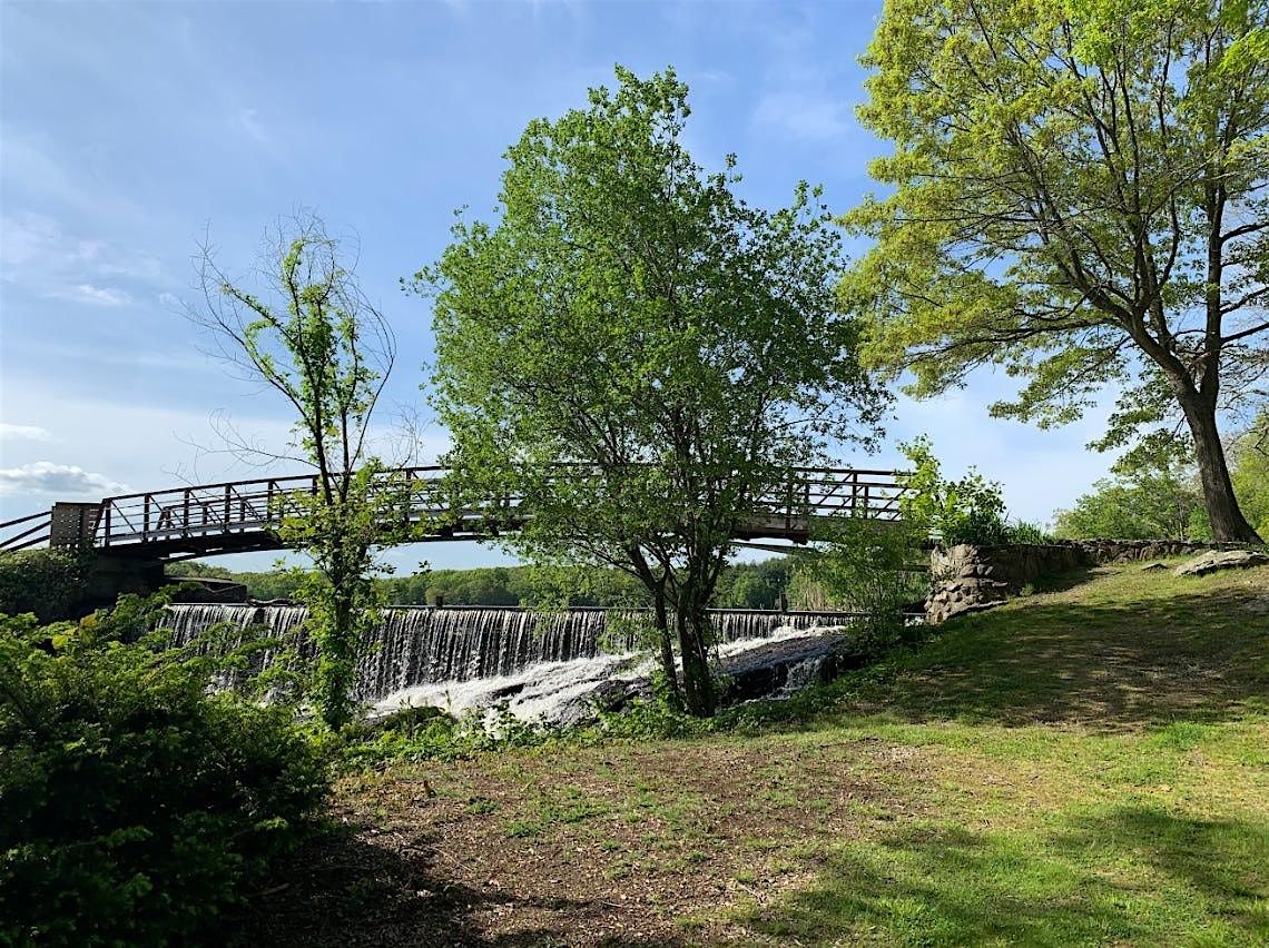 North Providence Tree Canopy Open House