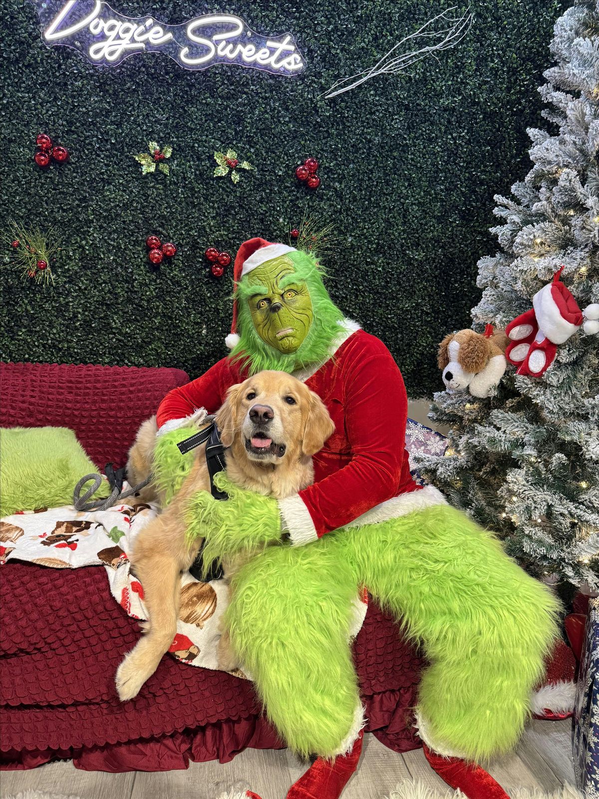 Grinch Pictures with The Golden Gathering Group