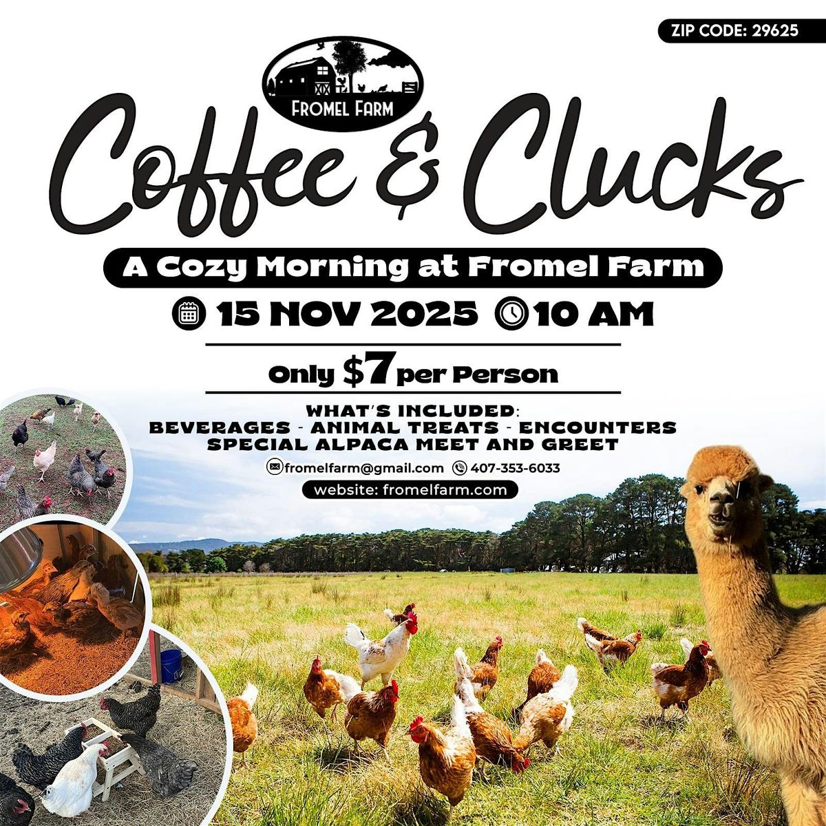 Coffee and Clucks