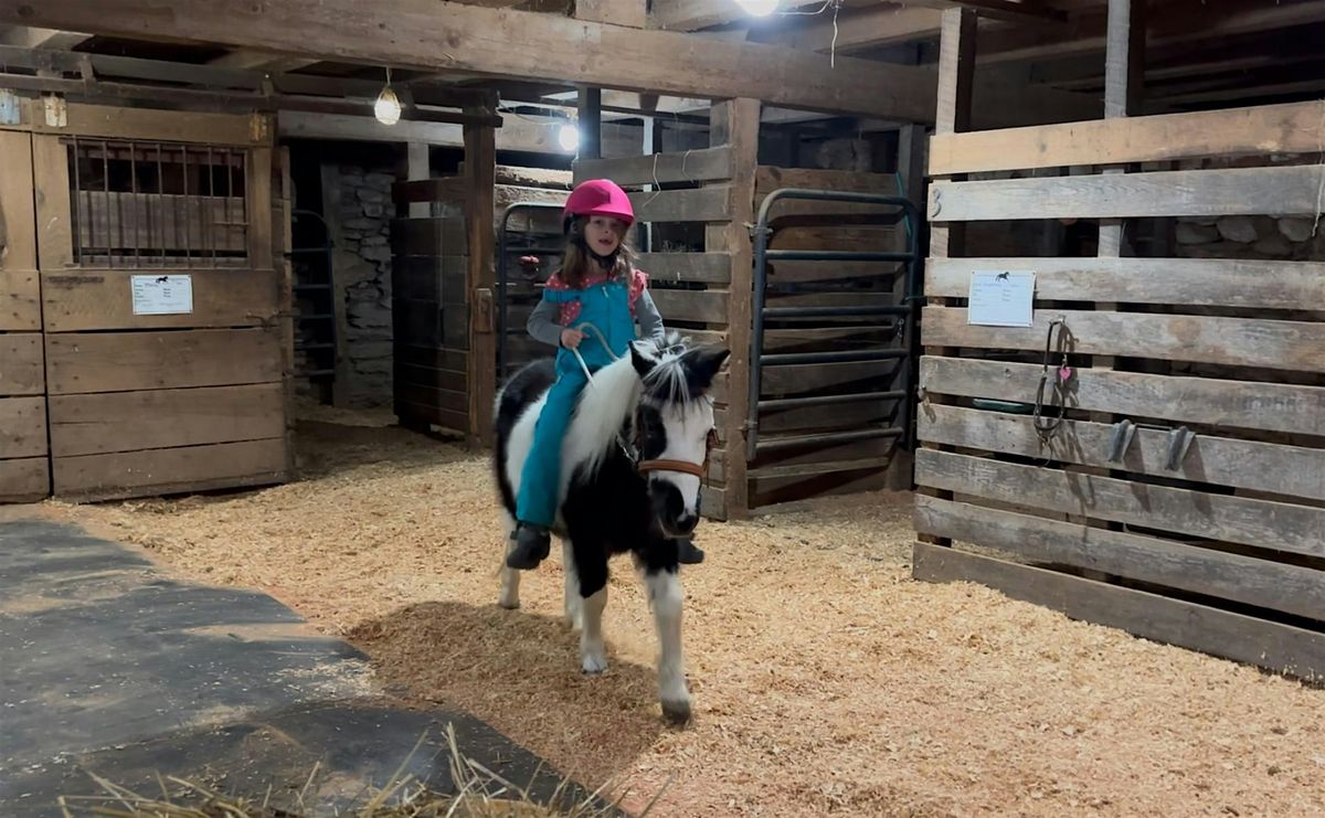 Pony Preschool Winter-Minis