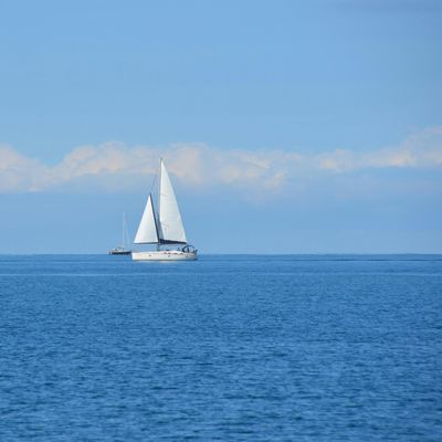 Sirds medit\u0101cija