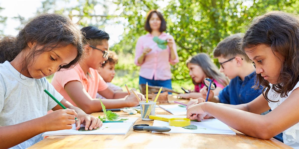 The Executive Function Connection