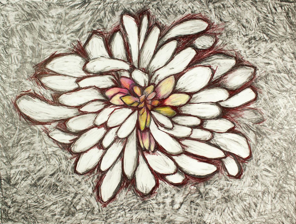 Artist Workshop with Cindi O\u2019Mara \u2013 Ephemeral Flower Paintings