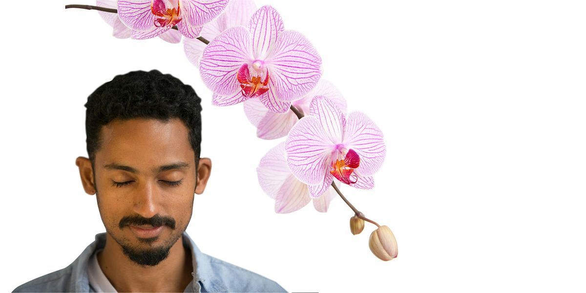 How to transform your life - a blissful journey. Drop-in meditation classes