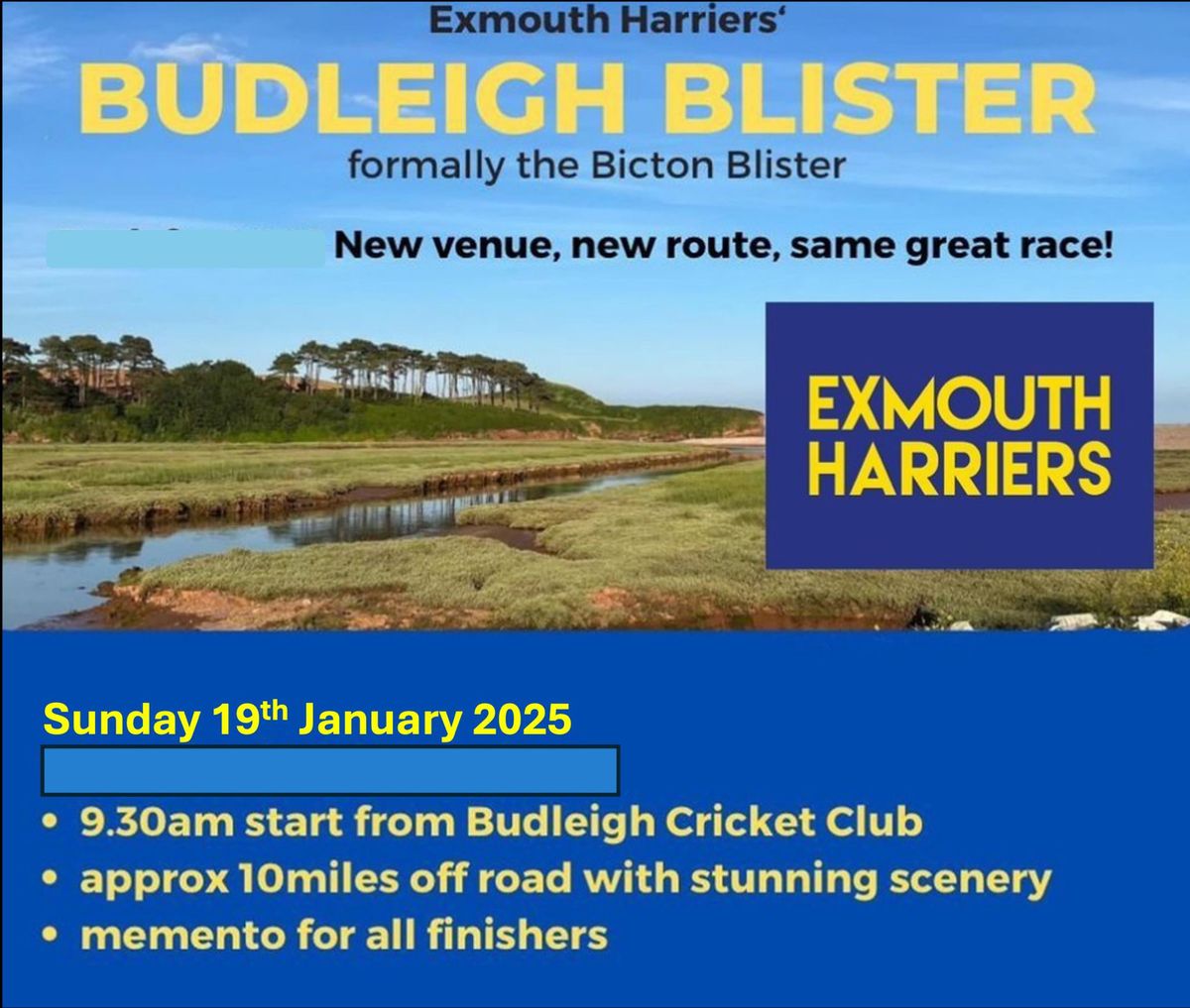 Budleigh Blister